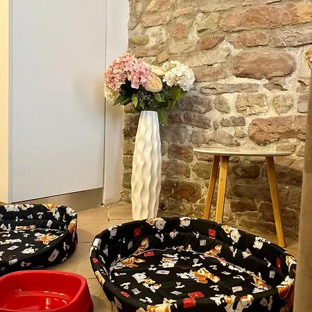 Apartamento Giulivi Assisi