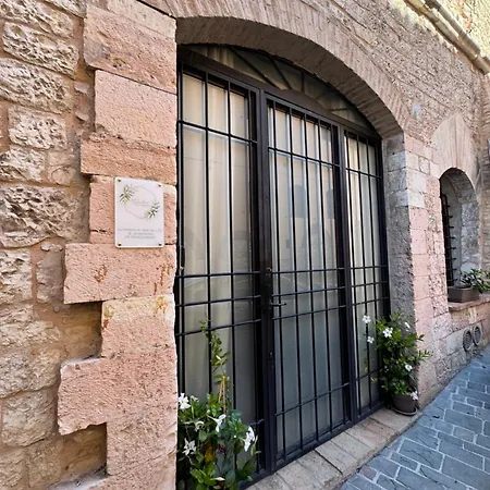 Giulivi *