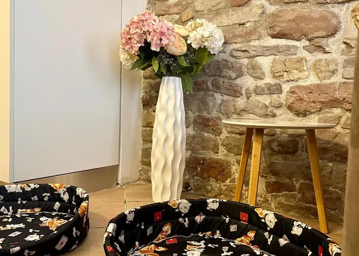 Apartamento Giulivi Asís